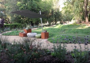 The IdealMow lawn alternative covered mounds of the outdoor amphitheater serve as picnic space, theater seating, all while directing rainwater to the bioswale.