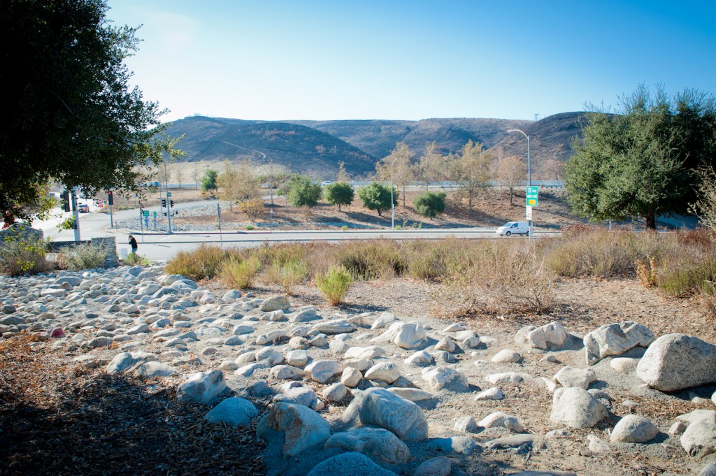 The Sunland Welcome Nature Garden boasts a view of hillsides charred by 2017's La Tuna Fire.