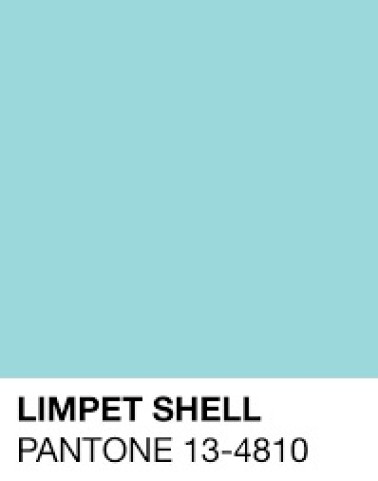 Limpet Shell copy