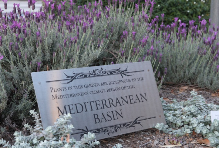 Mediterranean Basin Garden